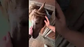 САШКА И ПОЦЕЛУЙ ЛЮБВИ