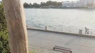 Mingəçevir bulvarı. Dəstək olun