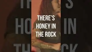 Brooke Ligertwood - Honey in the Rock (with Brandon Lake) (Live Video)