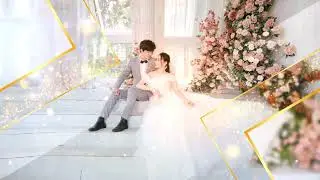 Свадебное слайд-шоу Elegant Particle 1000 p