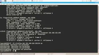 ifconfig - linux