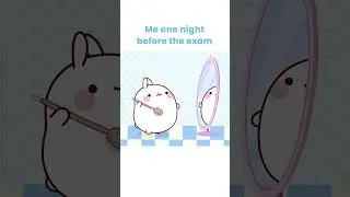 Me one night before exam 