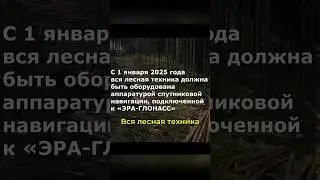 ГЛОНАСС для ЛЕСНОЙ техники #глонасс #лесная #перевозкадревесины #асн #россельхоз #аоглонасс #лесовоз