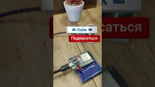 Удаленное управление по протоколу #UDP с использованием #ESP8266, #ESP32. #электроника #diy