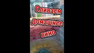 Сливаем домашнее вино