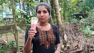 വീട്ടിൽ കുട്ടികൾ ഉള്ളവർ ഈ വീഡിയോ തീർച്ചയായും കാണുക/Healthy Juice #SVThalasseryCouple