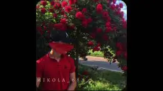 Gariko & Sharai - Чудный😻🖤