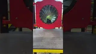 Знайди кота.