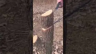 The most handy tool I ever seen!🪓🥾#outdoors #camping #shorts