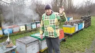 Клуб бджіл у вуликах з різних матеріалів, 10 лютого 2021 року
