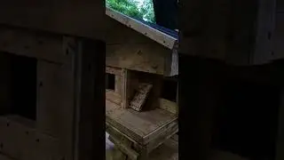 Дом милый дом 🏠