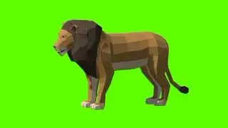 Green screen Lion video | Llion idle green screen