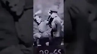Хроника первых часов победы #краснаяармия #деньпобеды #ссср #9мая