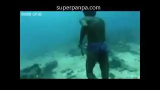 Denizin 30 metre altına tüpsüz dalan adam !