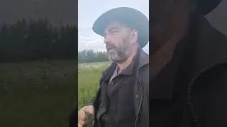 100 процентное средство, как избавить лошадь от слепня и овода