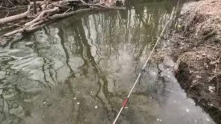 Steelhead fishing Kenosha