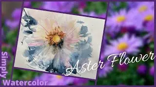 Fast Aster Flower in Watercolor