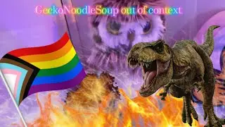 GeckoNoodleSoup out of context