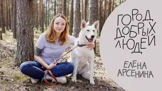 Город добрых людей | Зооволонтеры. Елена Арсенина