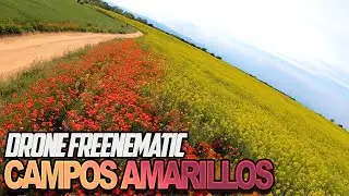 🌼Campos Amarillos🌼 FREENEMATIC
