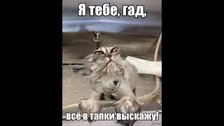 Тимофей лохъ