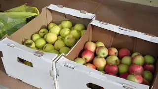 Визит в госпиталь