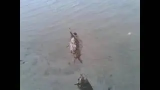 наш быт