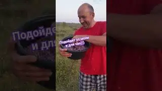 Урожай 2023 #shorts #short #shortvideo