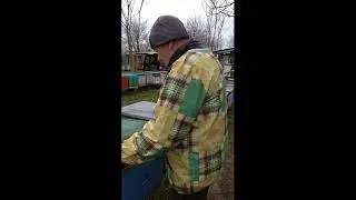 Так які ж вулики тепліші?