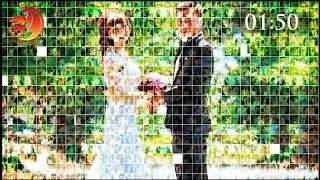 TEMPLATE Galería Wedding 200 Fotos editable en After Effects CC2018 y CS6
