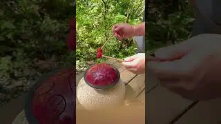 Осталось научится играть космические мелодии