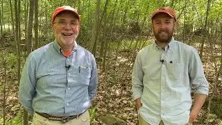 Young Forest Habitat Improvement for Wildlife