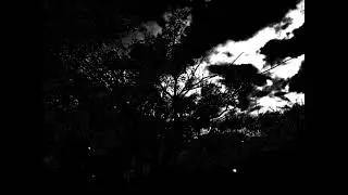 Rest steady - love [prod.farber ]