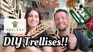 NEW DIY BARE Trellises from Treleaf!! 🌿 Let's Get Creative Decorating Untreated Wood Trellises!! 💕🌵