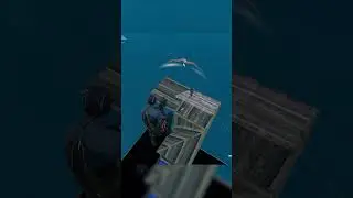 Crazy No-Scope 🤩