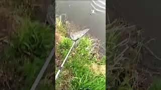 Рыбалка карась 