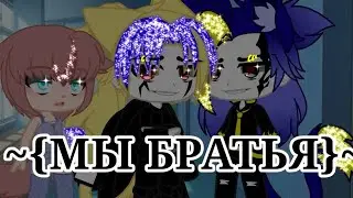 •{Meme}• ~ •{Мы братья}•