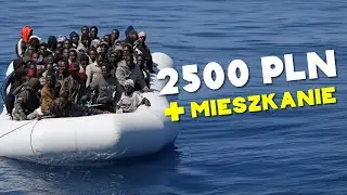 🦇NUTOPERZE🦇 - ♫ Inżyniery z Afryki [ piosenka ] ♫