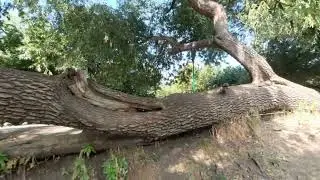 Вознесенская горка