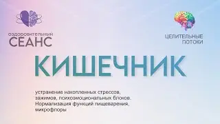 Оздоровительный СЕАНС - Кишечник