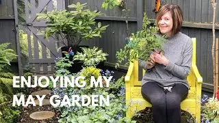 May Garden Updates || My Favourite Month Of The Year 🌺