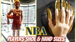 NBA players shoe sizes 😱| NBA players hands size-nice to know|When in NYC #NBA