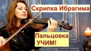 Скрипка Ибрагима/ Пальцовка на скрипке/ НОТЫ+Минус / Великолепный Век