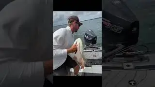 Fishing with example #sea #fishing #viralshorts