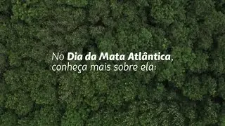 Dia Nacional da Mata Atlântica