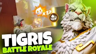 *NEW* Hero Tigris In T3 Arena Battle Royale