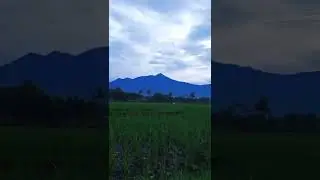 story wa view keren