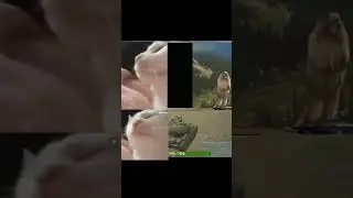 Объектус 274а -_-
