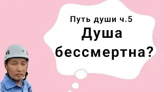 Путь души: Бессмертна ли душа? (5)