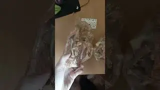 Экологически чистые Грибы. Витамины для Роста. Микро Дозирование 